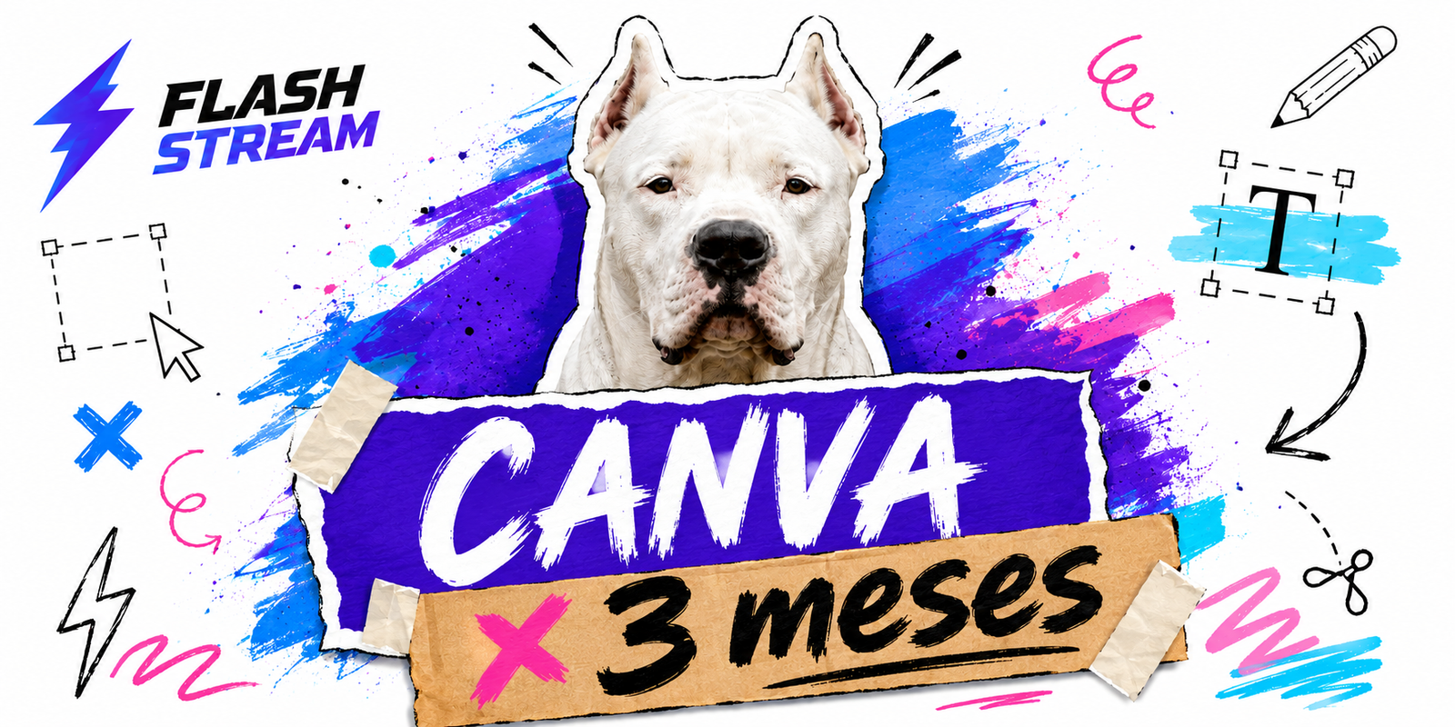 CANVA X 3 MESES